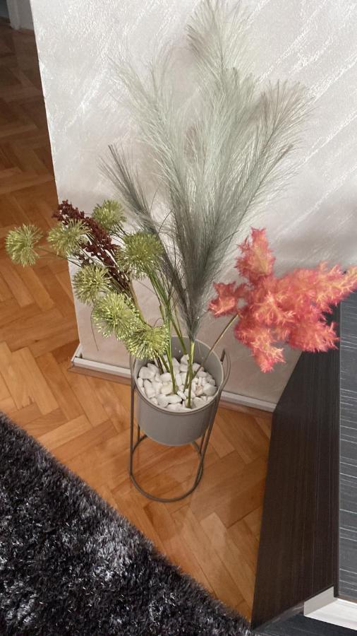 Apartman Bonaca Ni Esterno foto